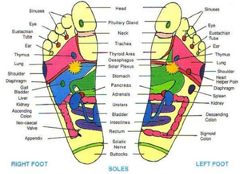 Reflexology