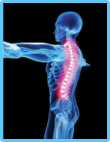 Spinal Dysfunctions