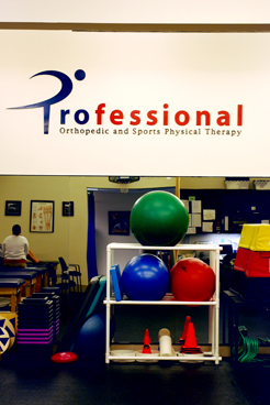 Physical Therapy Roslyn NY