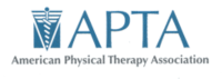 American Physical Therapy Association