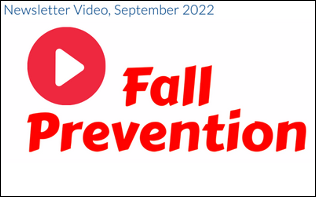 Fall Prevention - Review this with Relatives This Holiday Season